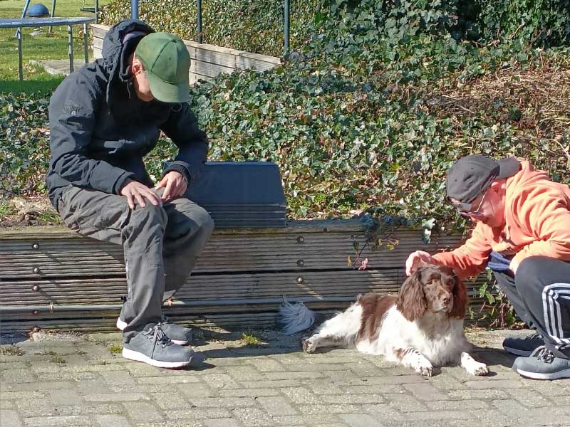 haardhout-blijham-4