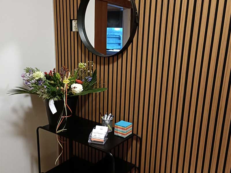 wonen-raadhuisstraat-2